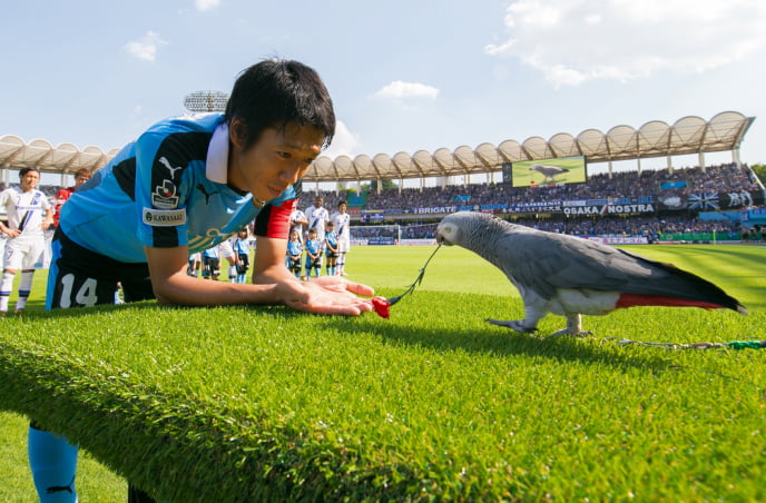 ギャラリー写真