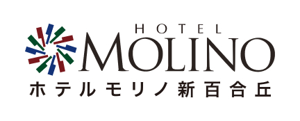 HOTEL MOLINO